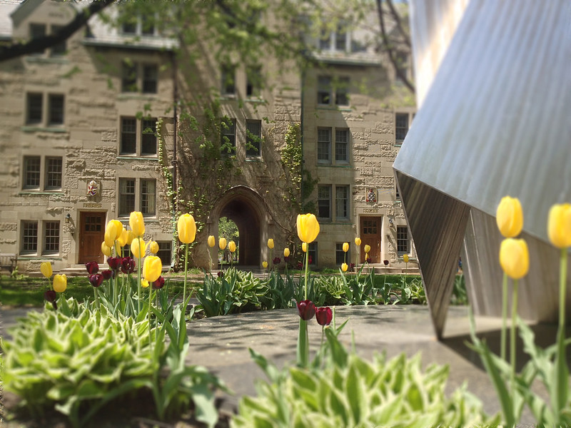 St. Mike's campus in bloom